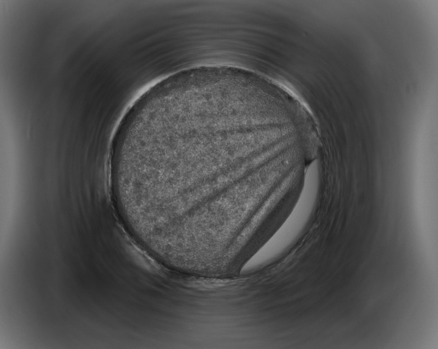 X0000086731076200705041343