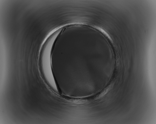 X0000086731077200705041343