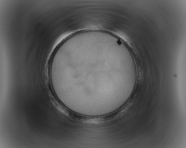 X0000086731078200705041343