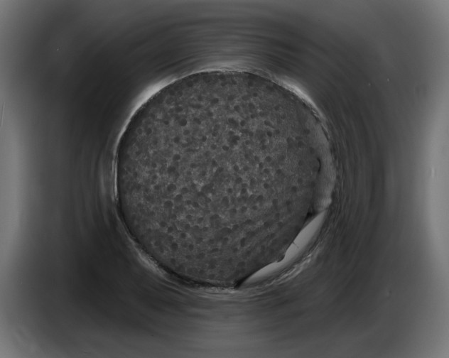 X0000086731079200705041343