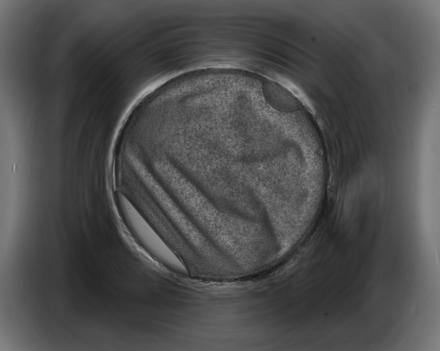 X0000086731080200705041343