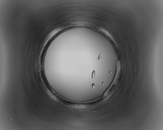 X0000086731082200705041343