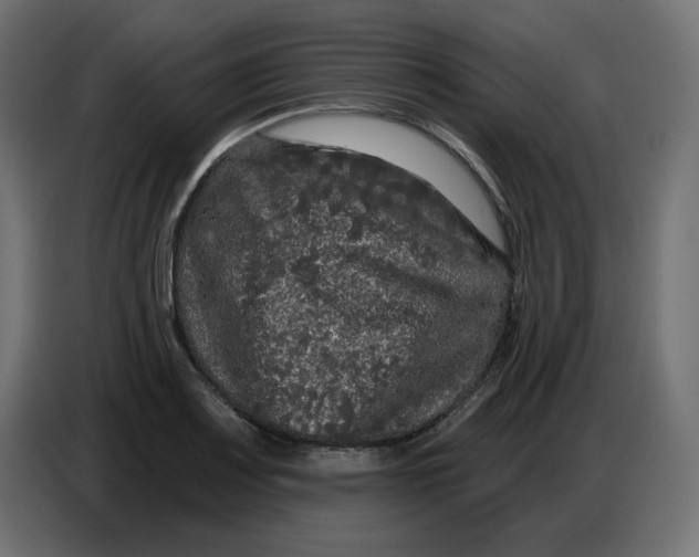 X0000086731083200705041343