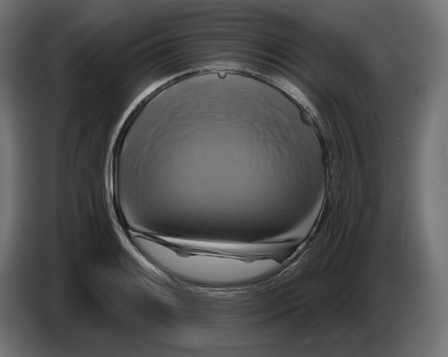 X0000086731084200705041343