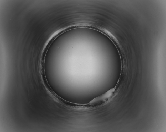 X0000086731085200705041343