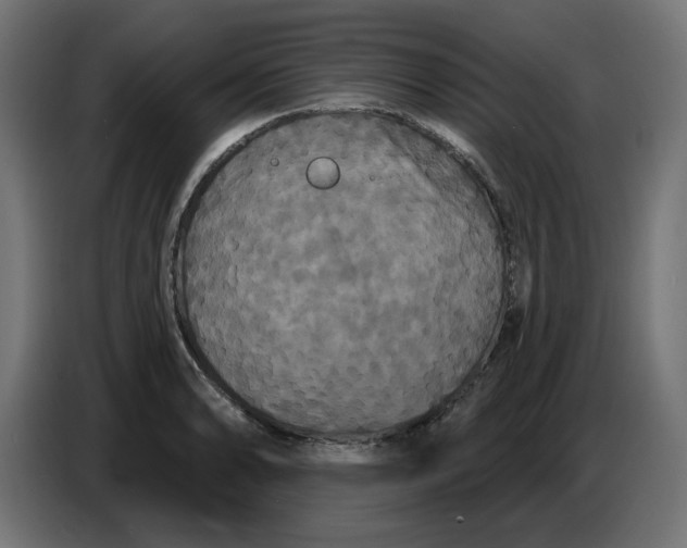 X0000086731086200705041343