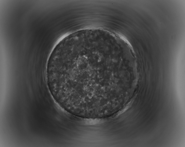 X0000086731087200705041343