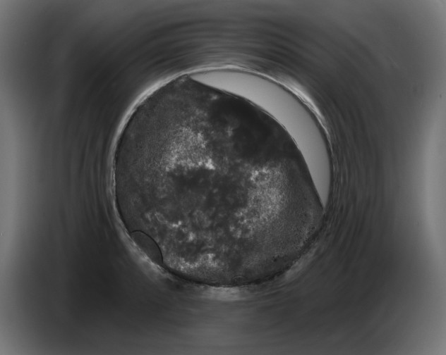 X0000086731088200705041343