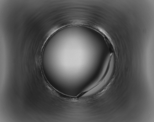 X0000086731089200705041343