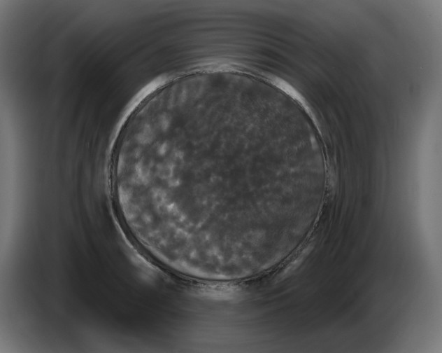 X0000086731090200705041343