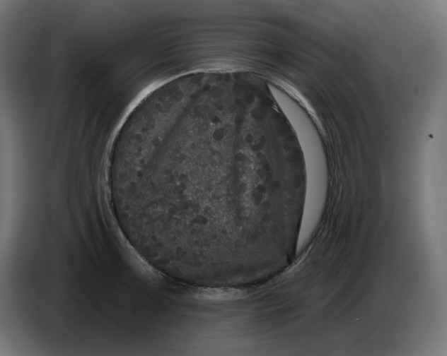 X0000086731091200705041343