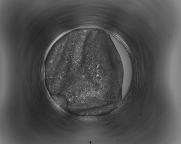 X0000086731092200705041343