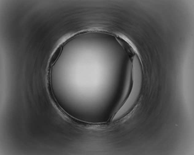 X0000086731093200705041342