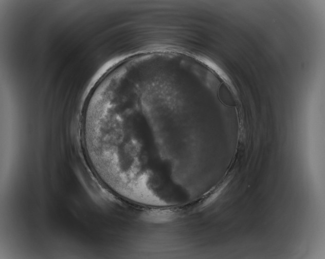 X0000086731094200705041342