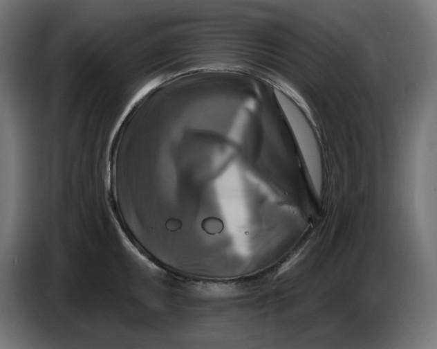 X0000086731095200705041342