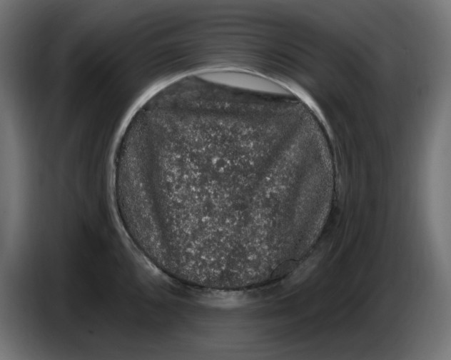 X0000086731096200705041342