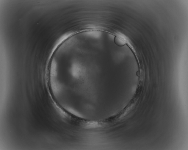 X0000086731098200705041342