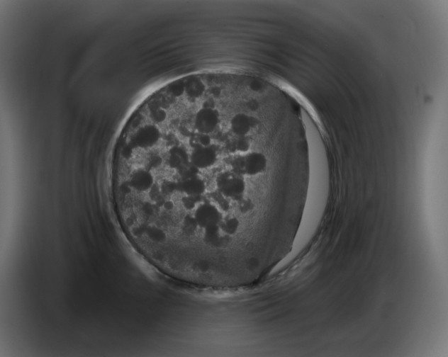 X0000086731099200705041342