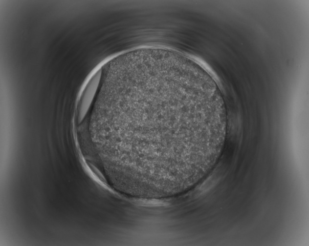 X0000086731100200705041342