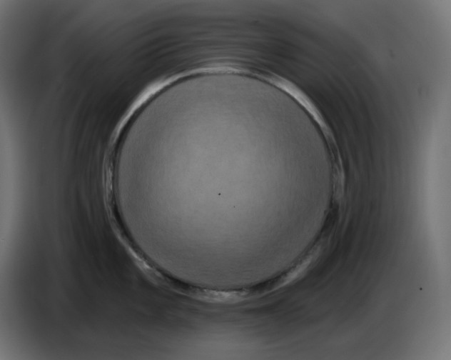 X0000086731101200705041342