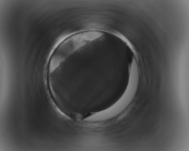 X0000086731102200705041342