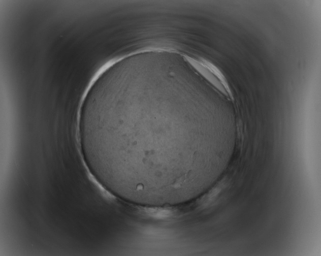 X0000086731103200705041342