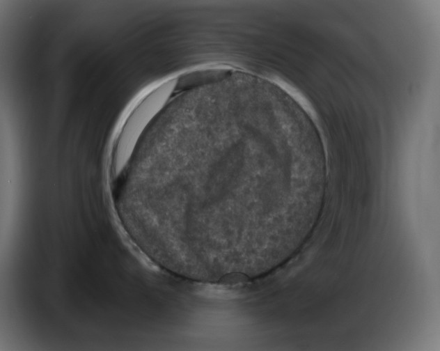 X0000086731104200705041342