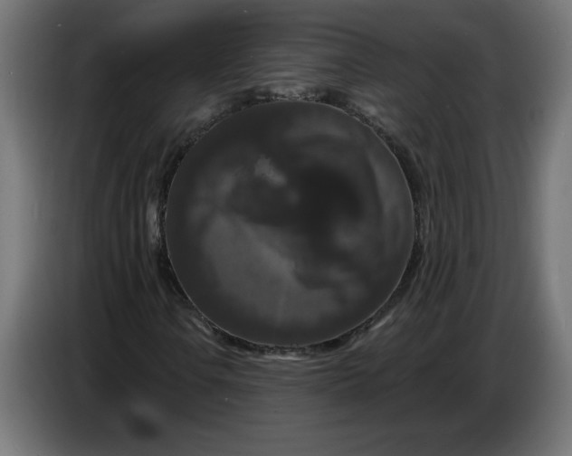 X0000086731106200705041342