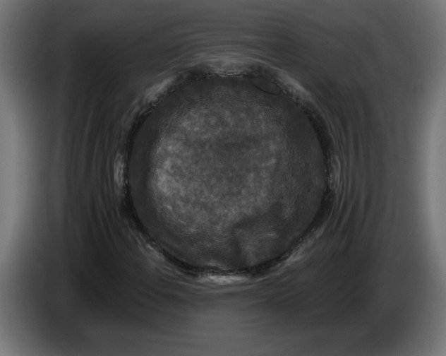 X0000086731108200705041342