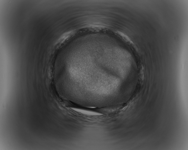 X0000086731110200705041342