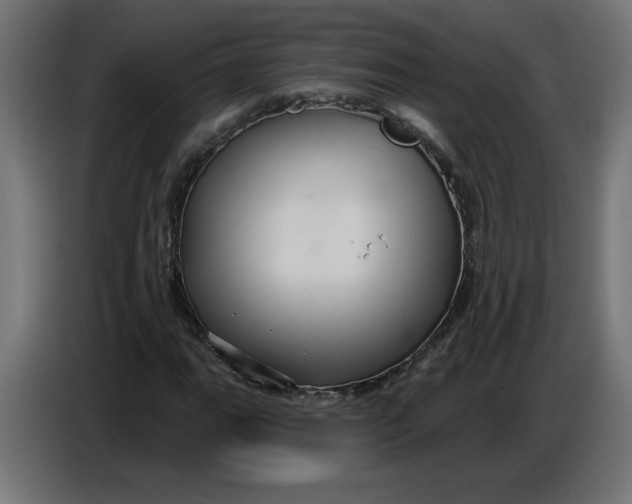 X0000086731111200705041342