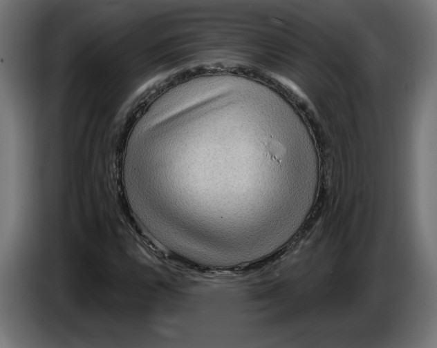 X0000086731112200705041342