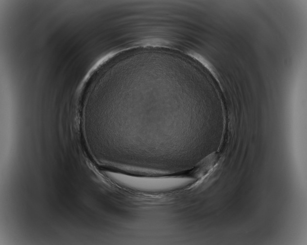 X0000086731115200705041342