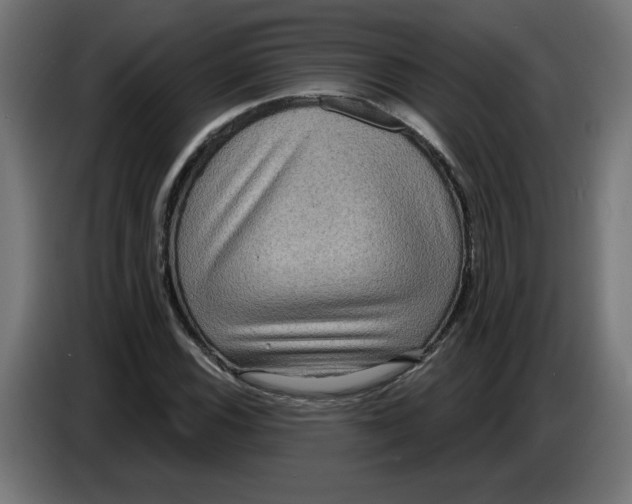 X0000086731116200705041342