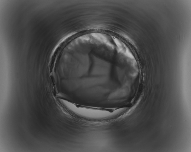 X0000086731117200705041342