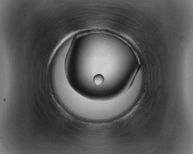 X0000086731118200705041342