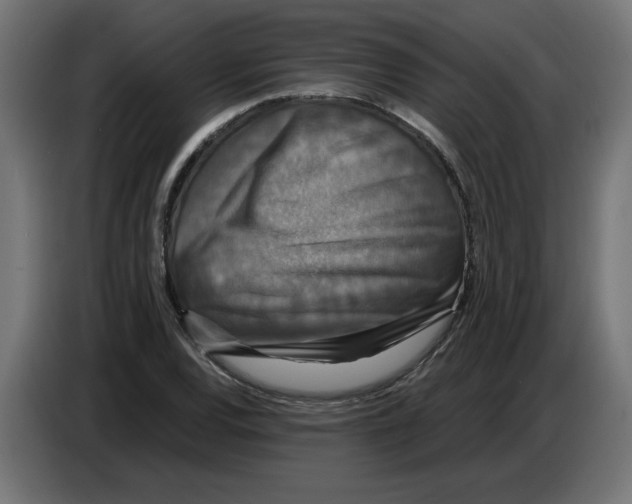 X0000086731120200705041342