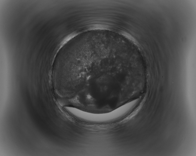 X0000086731121200705041342