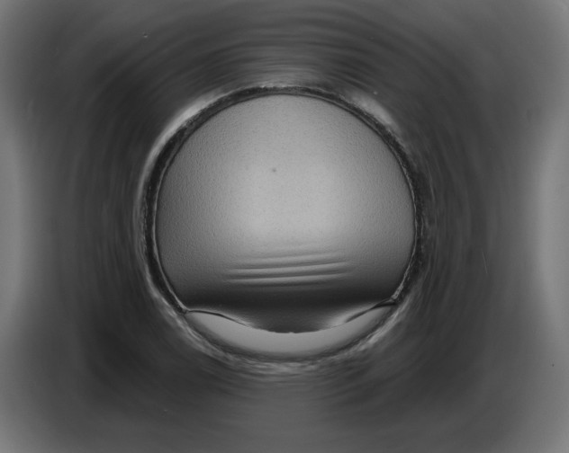 X0000086731122200705041342