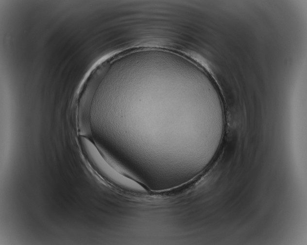 X0000086731123200705041342