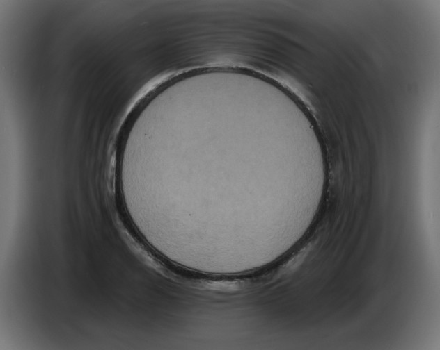 X0000086731126200705041342