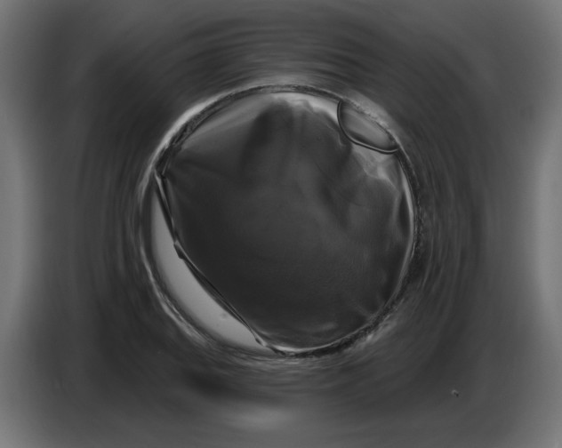 X0000086731127200705041342