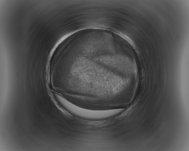 X0000086731128200705041342