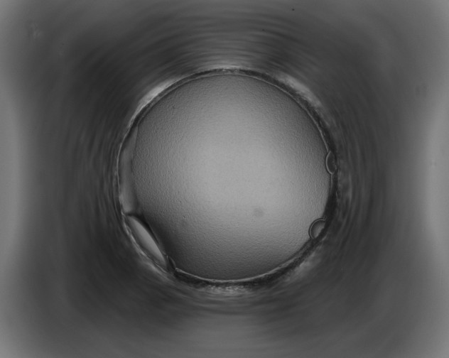 X0000086731129200705041342