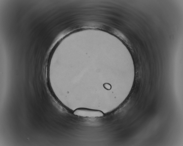 X0000086731130200705041342