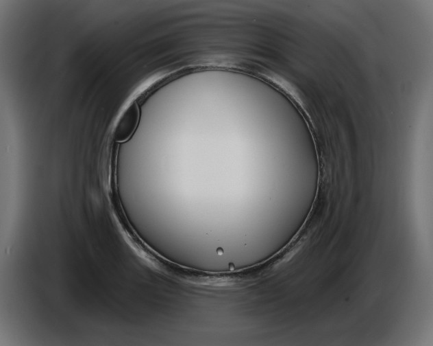 X0000086731131200705041342