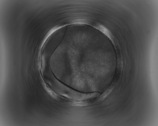 X0000086731132200705041342