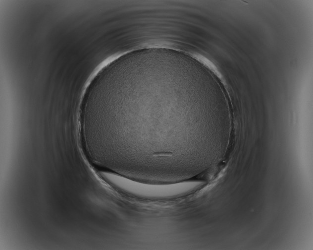 X0000086731133200705041342