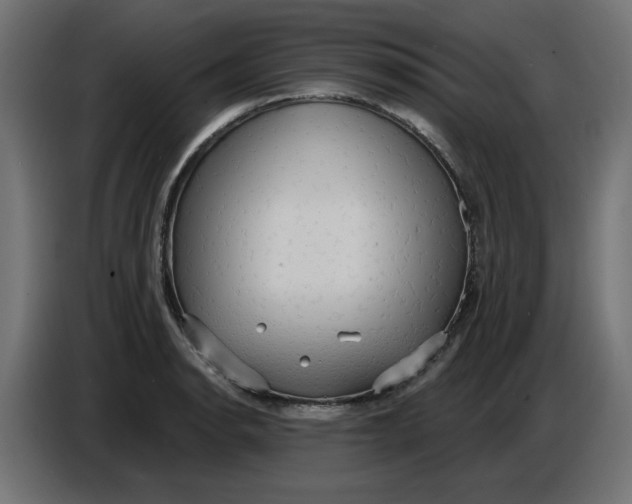 X0000086731134200705041342