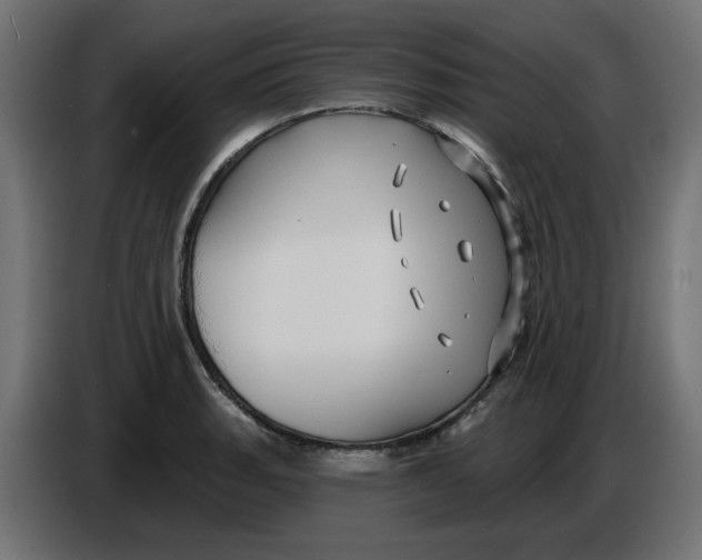 X0000086731135200705041342